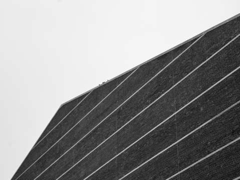 Rooftop perch