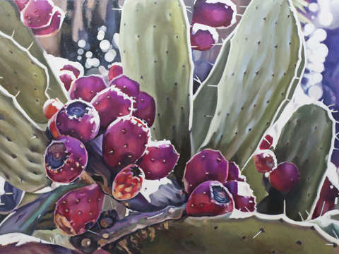Prickly pear 2