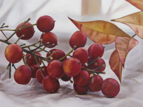 Nandina with plastic