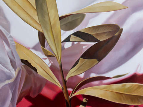 Nerium oleander with red fabric