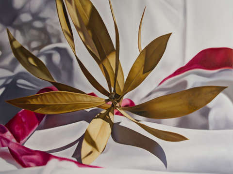 Nerium oleander with pink ribbon