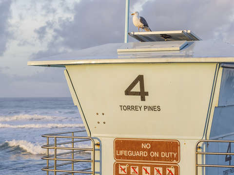 4 u at torrey