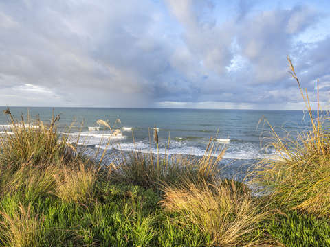 San elijo beauty