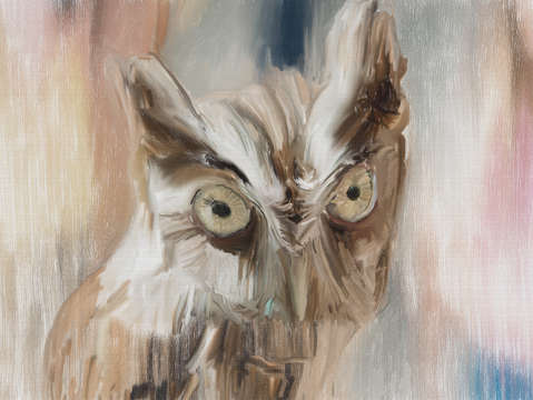 Burrowing owl digital painting