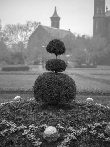 Garden at the smithsonian castle washington dc