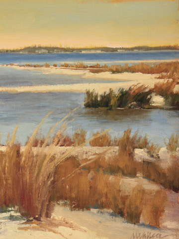 November, Navarre Beach