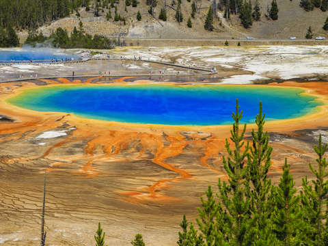 Yellowstone national park morning glory geyser