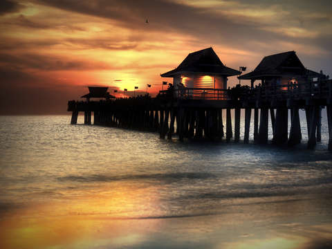 Florida nights