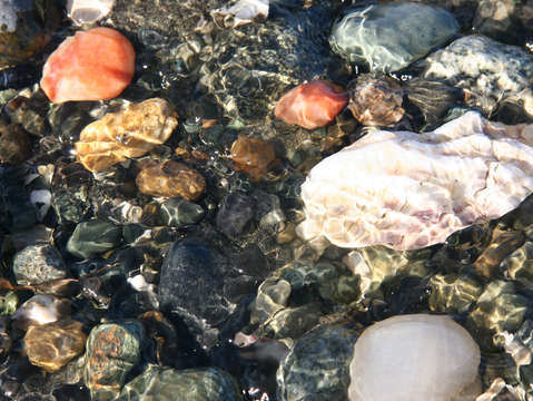 Reflections in the creek