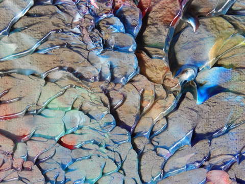 Color vine 2