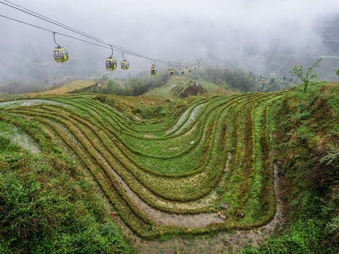 Gondolas over rice paddies in mist