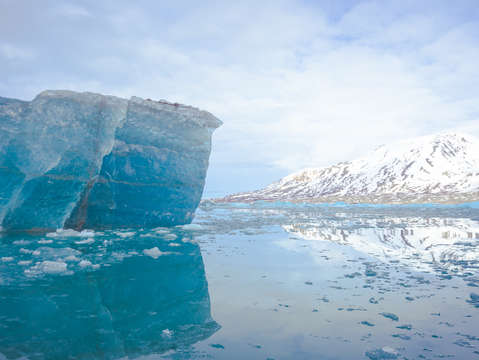 Blue iceberg monacobreen