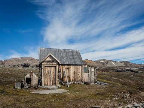 Camp mansfield
