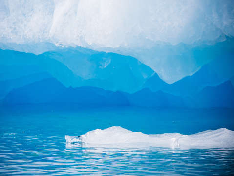 Shapes of the arctic