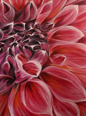 Dahlia 5