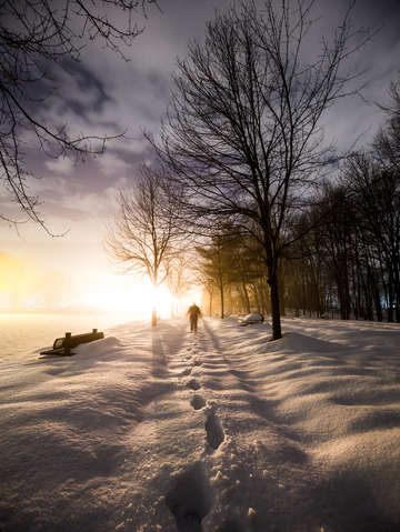 Trudge
