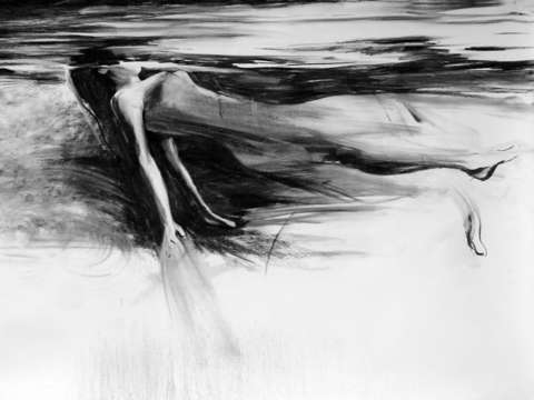 Plunge