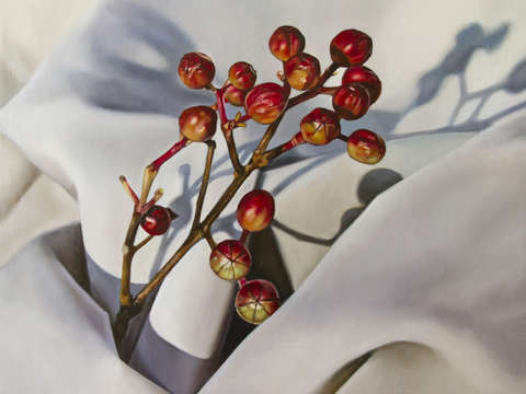 Crepe myrtle with canvas