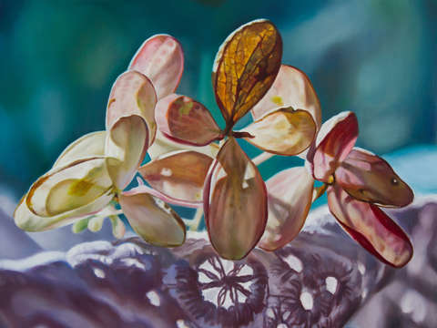 Hydrangea with embroidered fabric