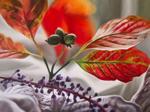 Cornus florida with fabric