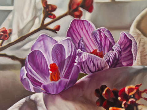 Crocus with fabric