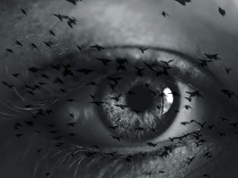 Of sight not seen