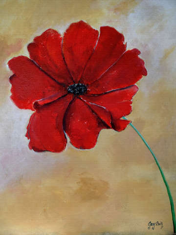 A single poppy