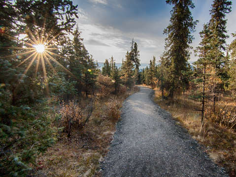 Denali park path