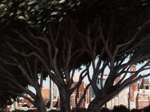 Brooklyn through trees