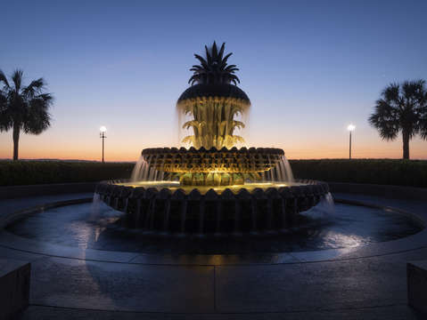 Pineapple fountain