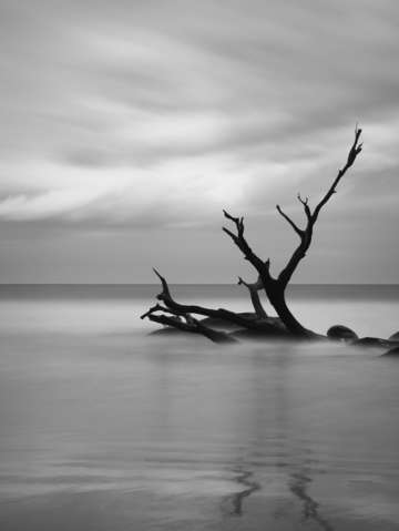 Long tide