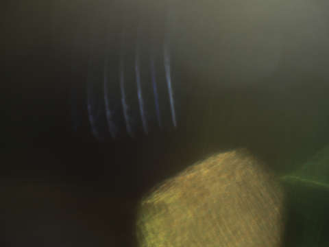 Ephemeral glow 0956