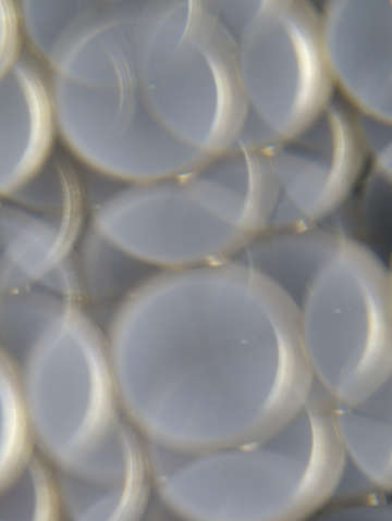 Lux glow 0988