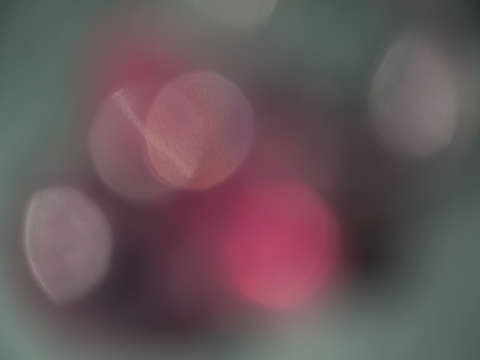 Ephemeral glow 1097