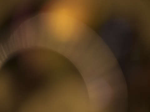 Ephemeral glow 1087 brown