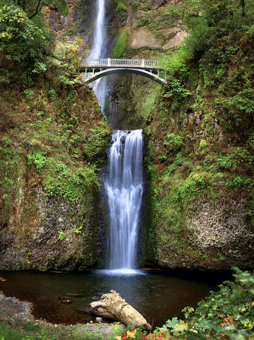 Multnomah falls 4