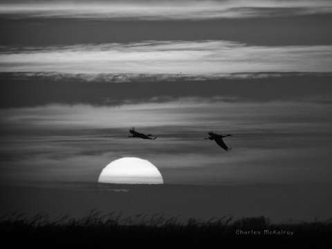 Up and away