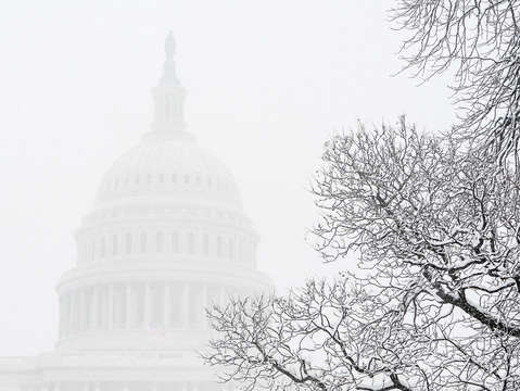 Snow with a capitol s