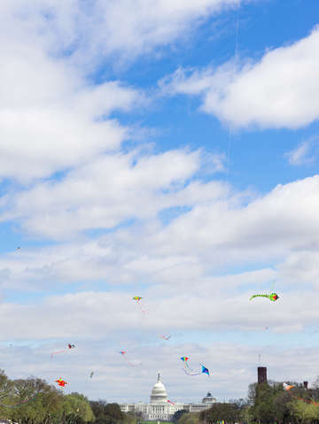 Go fly a kite 2