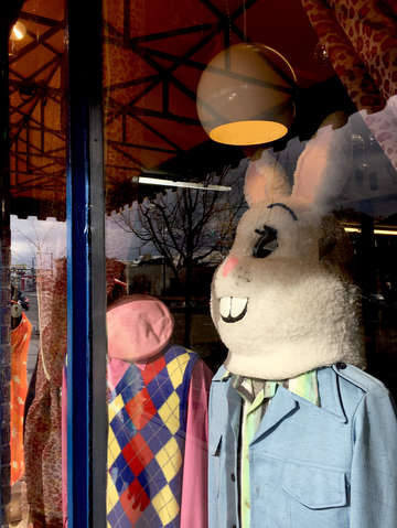 Big rabbit window
