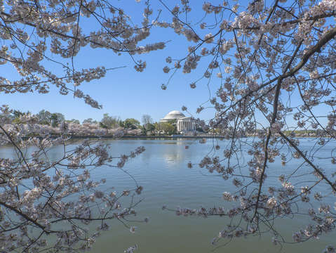 Jefferson memorial on the tidal basin ds0070