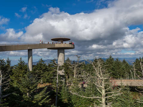 Clingmans dome 2