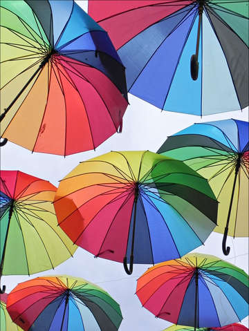 Weather report
