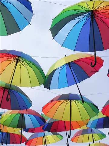 Weather report iii