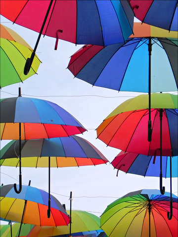 Weather report v