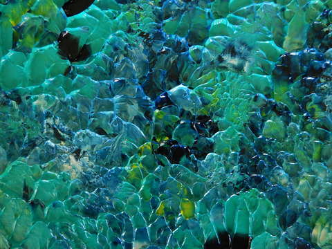 Coral 2