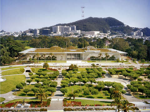 View From the DeYoung