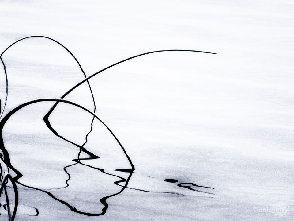 Currents of time