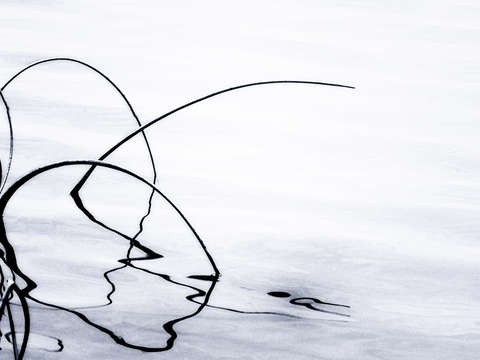 Currents of time