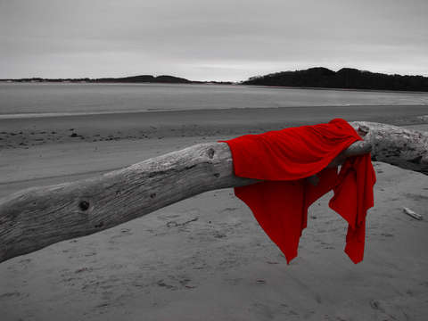 Red tide
